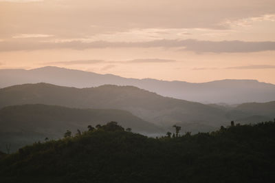 environment