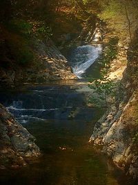 Stream flowing through rocks in forest