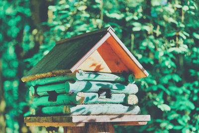 Close-up of birdhouse