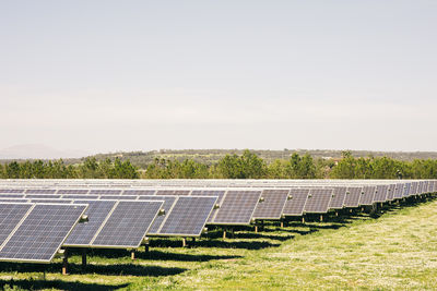 Solar panels in rows against sky at sunny day in field