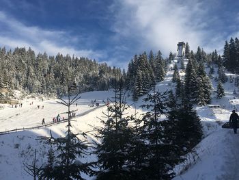 Snow covered trees against sky