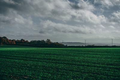 Scenic view of agricultural field against sky