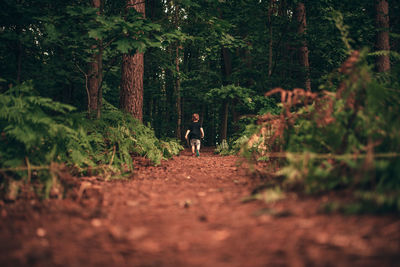 Child walking on footpath amidst trees in forest