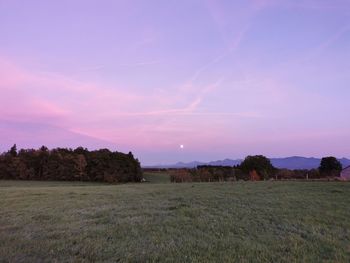 Scenic view of field against sky during sunset