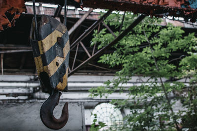 Close-up of rusty metal chain amidst plants