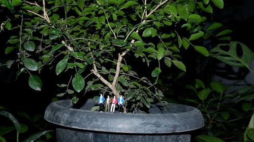 People standing by plants