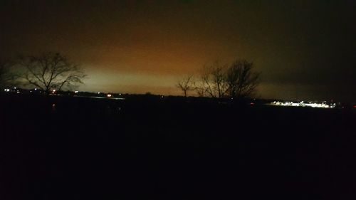 Illuminated trees against sky at night