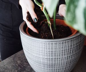 Midsection of person holding potted plant