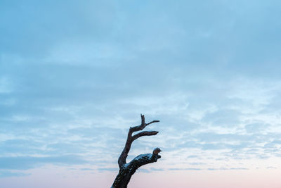 sky