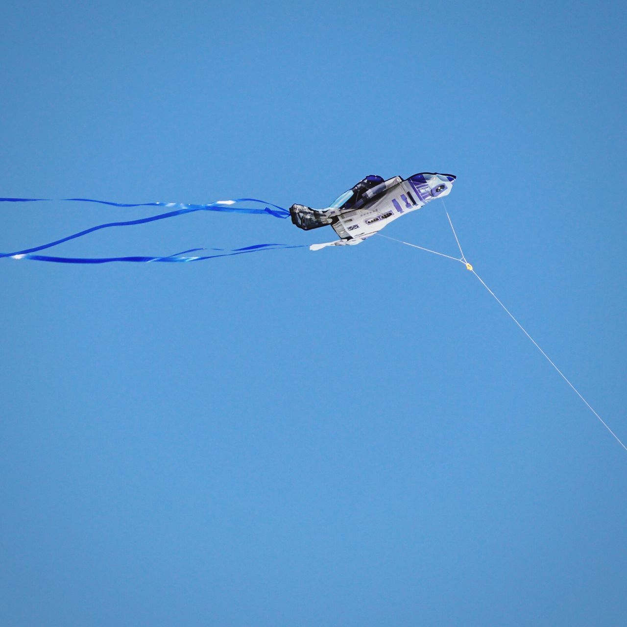 clear sky, low angle view, blue, copy space, flying, animal themes, mid-air, animals in the wild, wildlife, one animal, outdoors, day, cable, transportation, no people, nature, insect, motion, on the move, power line