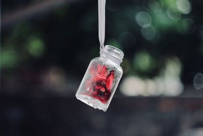 Close-up of ice cream hanging on glass