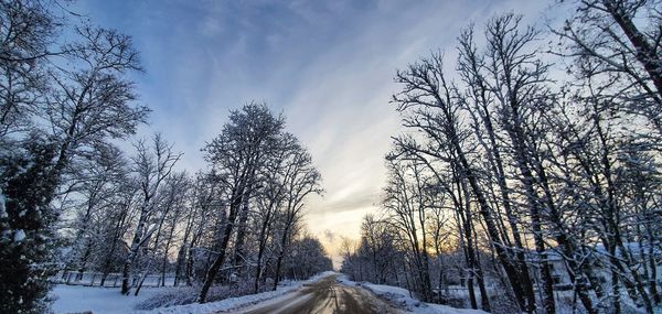 Road amidst bare trees against sky during winter