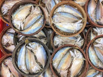 High angle view of fish for sale at market