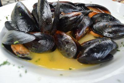 Close-up of mussels served in plate