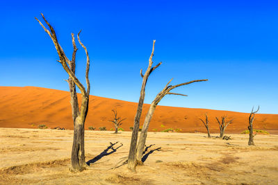 Scenic view of desert against clear sky