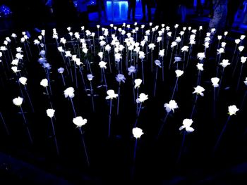 Close-up of illuminated lights