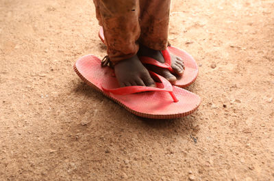 Low section of person wearing pink shoes on sand