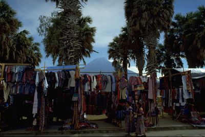 View of market stall