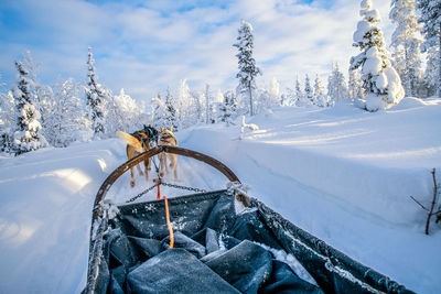 Snow covered land and trees on field against sky