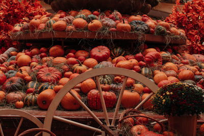 Orange pumpkins lying in the hay. autumn decoration. october and november. the time of harvest