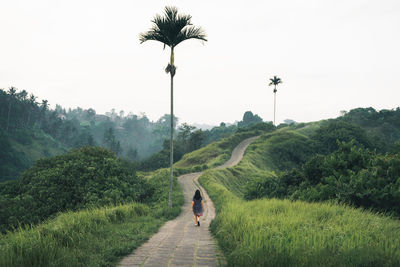 Rear view of person walking on field against clear sky