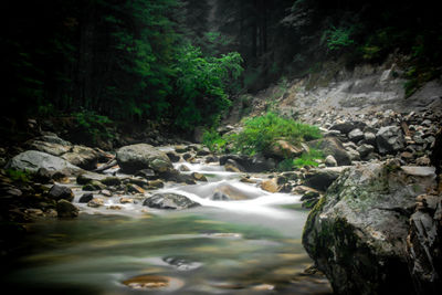 Stream flowing through rocks in forest