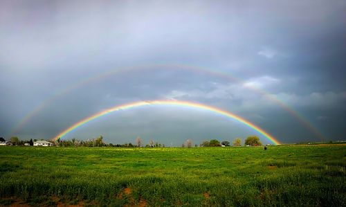 Scenic view of rainbow over field against sky