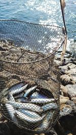 High angle view of fishing net on beach