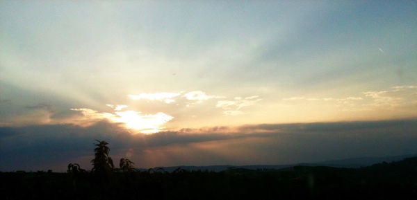 Silhouette trees on field against sky at sunset