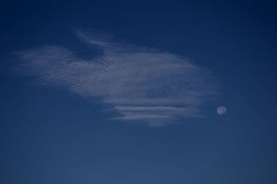 Low angle view of moon in sky