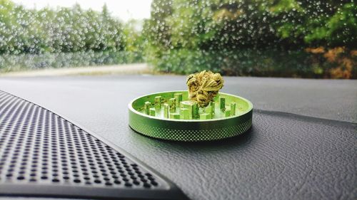 Close-up of potted plant on table