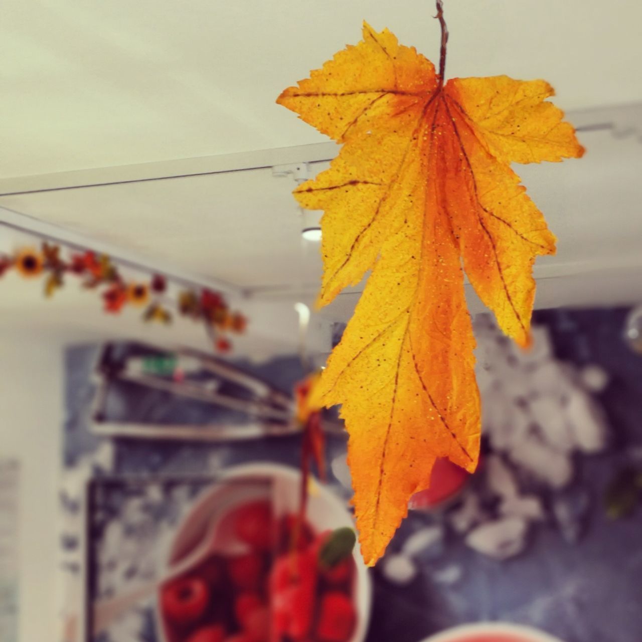 CLOSE-UP OF YELLOW MAPLE LEAVES AGAINST ORANGE SKY