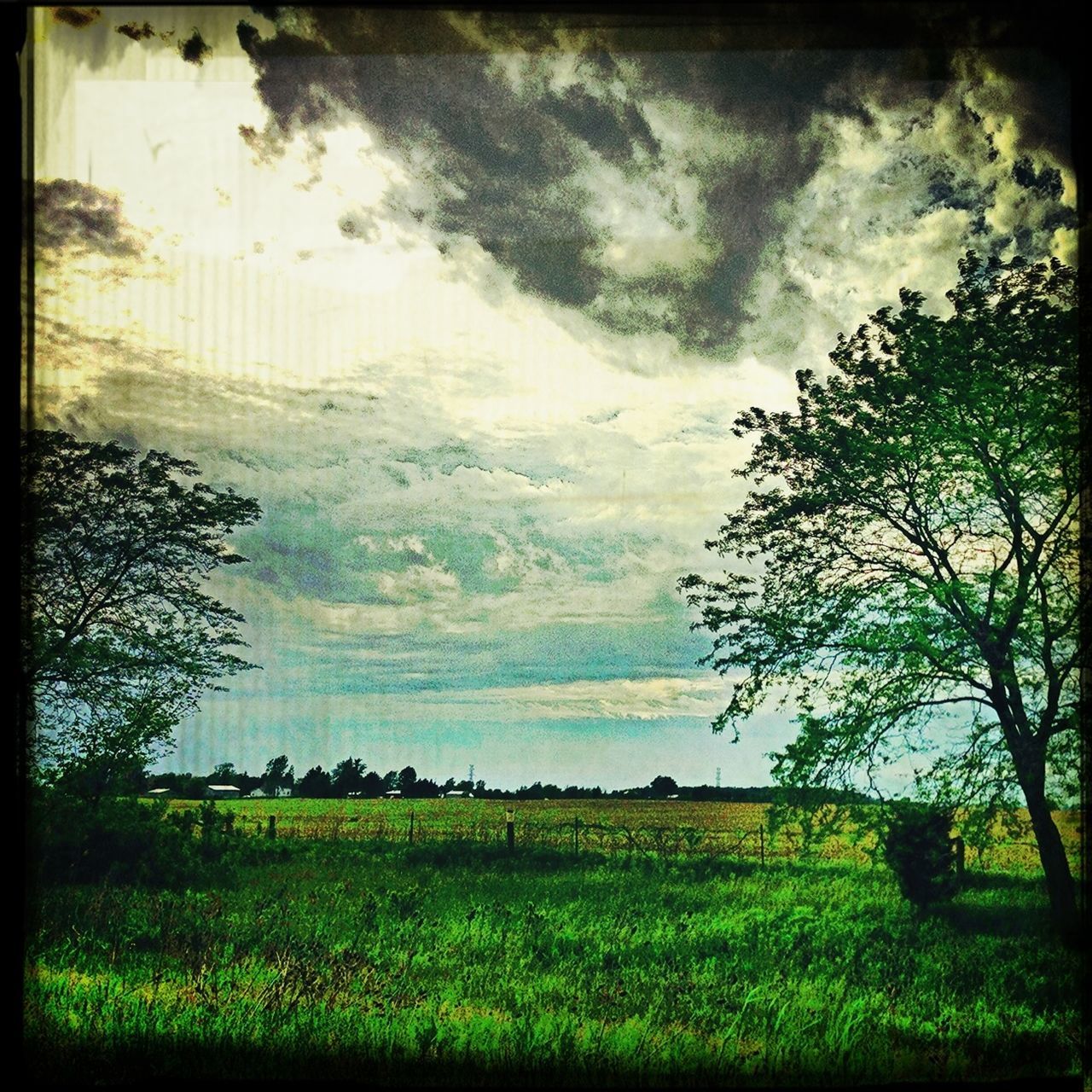 landscape, field, tranquil scene, tranquility, grass, sky, scenics, beauty in nature, transfer print, nature, growth, tree, rural scene, auto post production filter, agriculture, grassy, horizon over land, cloud - sky, plant, non-urban scene