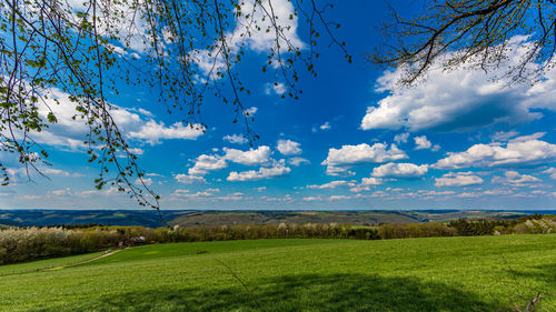 Scenic view of field against sky