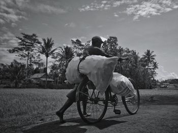 Man sitting on horse cart