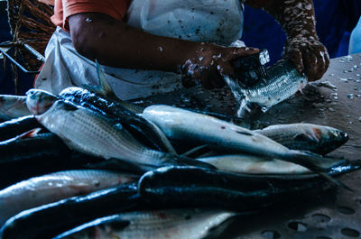 Close-up of man with fish