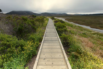 Boardwalk over grassy field at morro bay state park