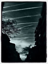 Low angle view of trees against cloudy sky