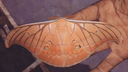 High angle view of hands