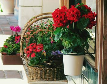 Close-up of potted plant in vase