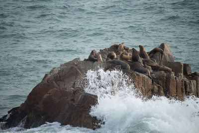 Sea waves on rock formation
