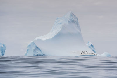 Scenic view of ice floating on sea against sky