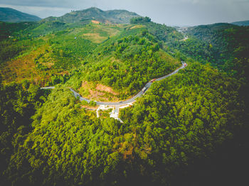 High angle view of trees on landscape against sky