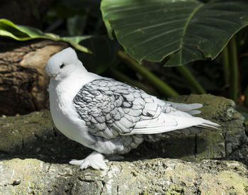 Close-up of bird perching on plant