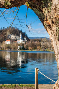 Buildings seen through lake