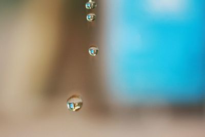 Close-up of water drop