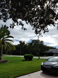 Car on grass against sky