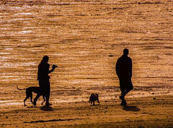 Silhouette people with dog walking on beach