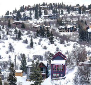High angle view of snow covered houses and trees in city