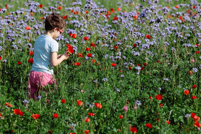 Low angle view of girl in a red poppy flowers on field